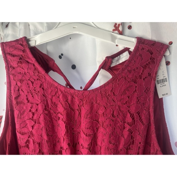 NYC Women's Dress Loos, bright pink reaches the knee, with lace Zise X-Large NWT - Picture 14 of 15